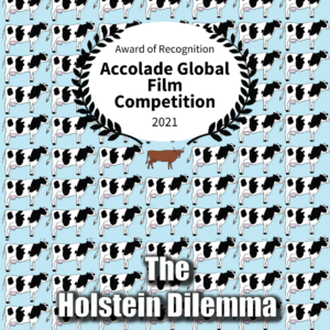 Accolade Holstein Dilemma